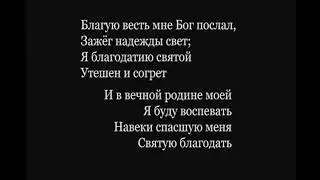 Очищение храма. МК. 11 гл. Проповедует Андрей Новосельцев.