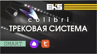 ПОЛНЫЙ ОБЗОР COLIBRI трековая система 220v | Умный дом | Монтаж | Подключение #eks #colibri