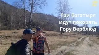 Настоящие герои всегда идут в обход горы