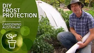 Bamboo frost protection | DIY Garden projects | Gardening Australia