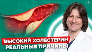 Почему повышается холестерин на самом деле?