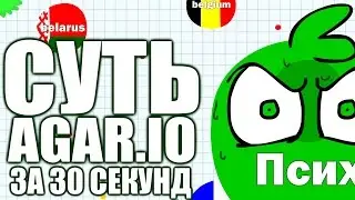 ВСЯ СУТЬ AGAR.IO