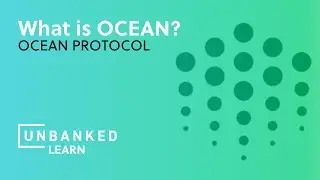 What is Ocean Protocol? - OCEAN Beginner Guide