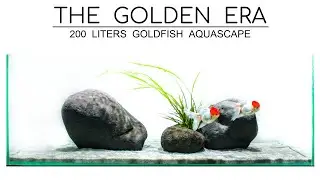 Aquascaping Goldfish Aquarium - THE GOLDEN ERA  /minimalism/