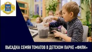 Участники кружка «Юный натуралист» высадили семена томатов