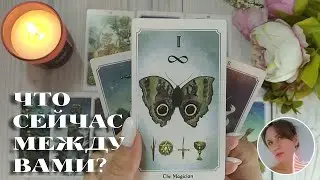 ❤️‍🔥 🦋 ЧТО СЕЙЧАС ПРОИСХОДИТ МЕЖДУ ВАМИ? 🔮✨🎯 НАРРАТИВНЫЙ РАСКЛАД