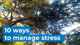 10 ways to manage stress | Mental Health | Bupa Health