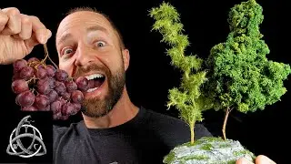 Craft Trees from Grape Vines for Tabletop Gaming