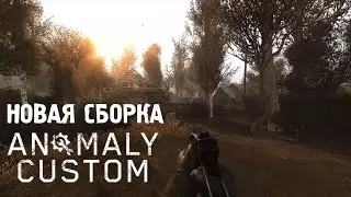 НОВАЯ СБОРКА | ANOMALY CUSTOM #1