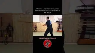 Hanbo Striking Combo from Normal Cane Stance, Munen Muso, #shorts #ninja #samurai #martialarts