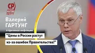 Валерий Гартунг рассказал в Думе о настоящих причинах  роста цен