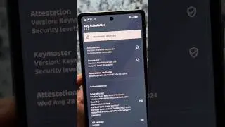 Bootloader Locked in a Custom ROM 🤯