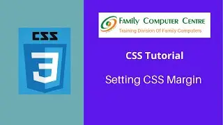 CSS Tutorial | How to set margin in CSS