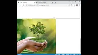 Insert Image in HTML/CSS
