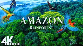 AMAZON 4K - The World's Largest Tropical Rainforest | Relaxing Music With Beautiful Nature Scenes