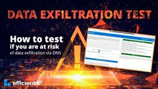 Quick Data Exfiltration Test: Check your risk of data theft via DNS