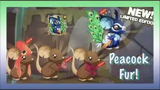 Transformice: Peacock Fur & Giveaway #30!