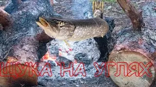 Кухня рыбака. Нашампурили щуку. Жарим рыбу на костре.