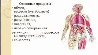 «Решение заданий ЕГЭ линии 1.1.1 «Уровни организации живой природы»