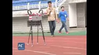 Chinas homemade robot sets world record for walking