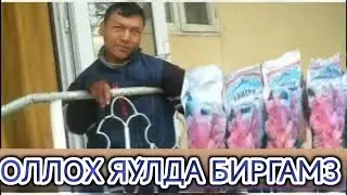 оллох яу́лда биргамз архип +996556728672