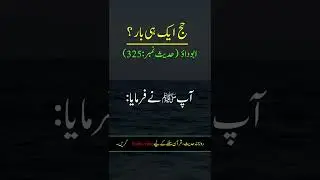 Hadees Sharif Hajj Karna Abu Dawood #shorts #youtubeshorts #hadees #hajj #islam #islamic #viral