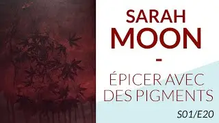 La couleur comme sujet photographique : SARAH MOON - Part II