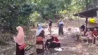 Palak anau