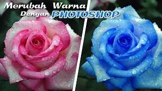 Tutorial Photoshop » Cara Mudah Merubah Warna