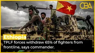 Ethiopia: TPLF forces withdraw 65% of fighters from frontline, says commander.