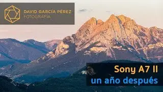 Sony A7 II - Un año después