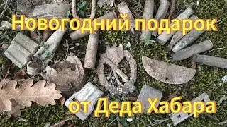 НАШЛИ НЕМЕЦКИЕ НАГРАДЫ! Самый лучший КОП 2023.