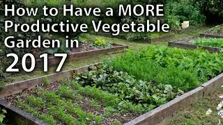 10 Ways to Make your Vegetable Garden More Productive in 2017...and Beyond!