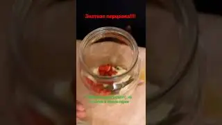 Рецепт вкуснейшей перцовки на самогоне #алкоголь #напитки #перцовка #самогон #рецепты