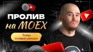 Где новичку проще стартовать в трейдинге — на Мосбирже или крипте? | Академия Кинглаб