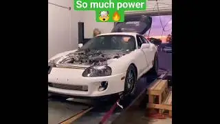 "Supra Madness: Dyno Domination"🥵#shorts #supra