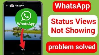 WhatsApp Status Views Not Showing Problem | How to Fix WhatsApp (New Update)Status Views Not Showing