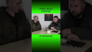 ПОЕЛ ВСЕХ УЛИТОК @dmytrokarpenko