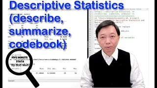 Descriptive Statistics using Stata (describe, summarize, codebook) | Stata Tutorials Topic 19