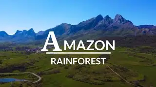 Amazon rainforest 4k with claiming music | SHAHZAIB TV