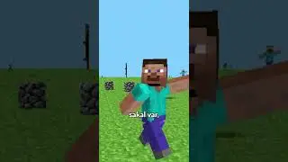 Minecraft Mandela Etkisi? (Steve'in sakalı) ⛏💎