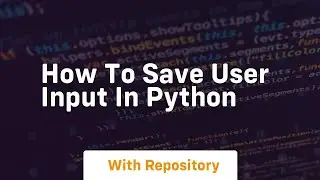 how to save user input in python