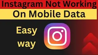 Fix Instagram App Not Working on Mobile Data