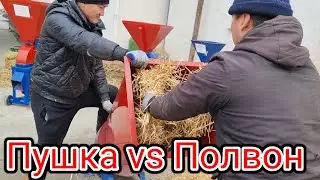 Пушка Полвонга тенг келаоладими курамиз