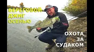 Джиг с берега осенью. Охотимся на судака!