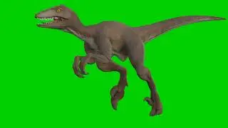 dinosaur green screen|| dinosaur green screen video||green screen dinosaur attack| green screen