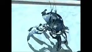 Guerreiros das Sombras Comercial de 1999