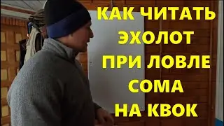 Как читать эхолот, при ловле сома на квок / #рыбалка #квок #сом #сомнаквок