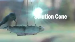 Peace | Solution Cone