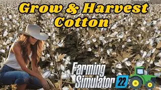 Farming Simulator 22 | Cotton Guide | Planting, Harvesting, and Profiting | (FS22)